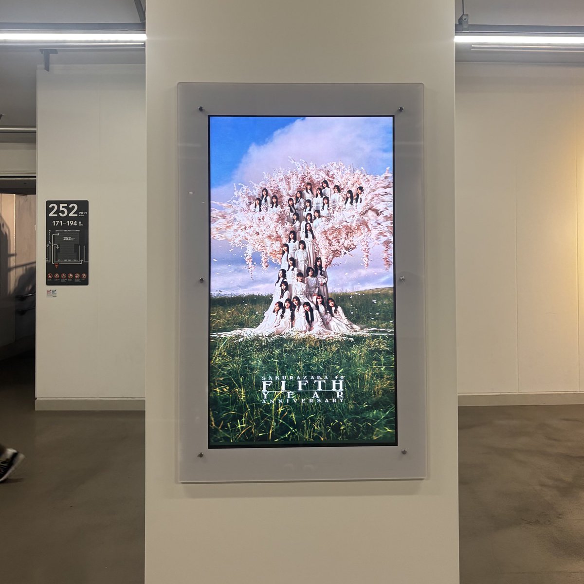  ︎︎y tweet media