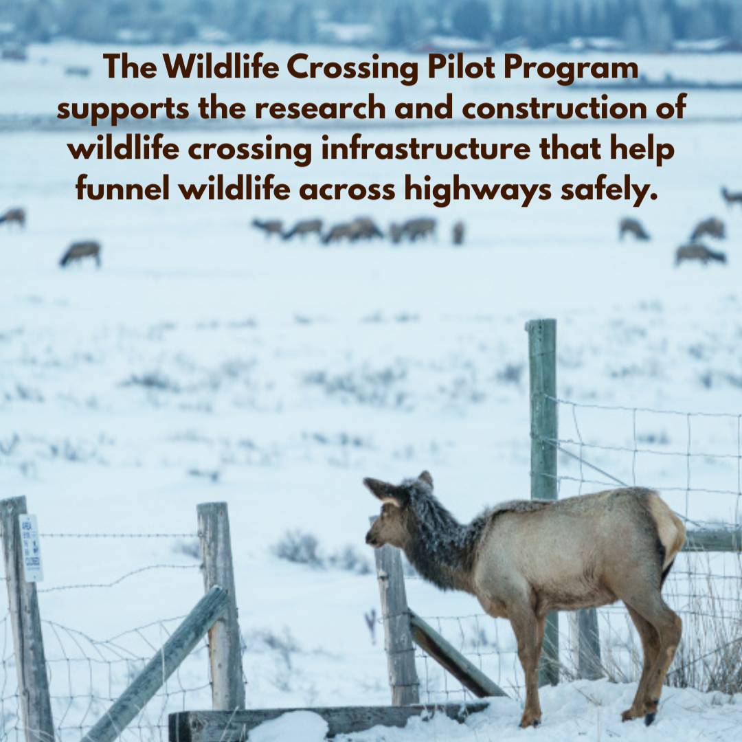 The TRCP tweet media