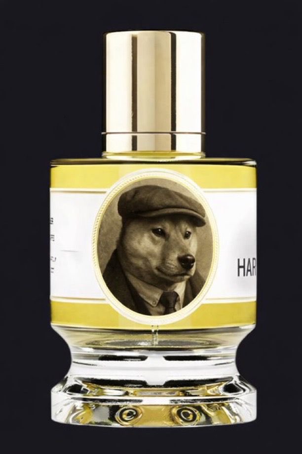 FARIS BIN FUHAID tweet media