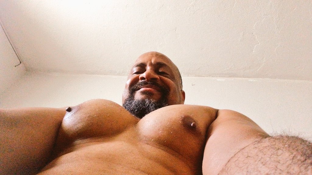 Gato Cariñoso tweet media