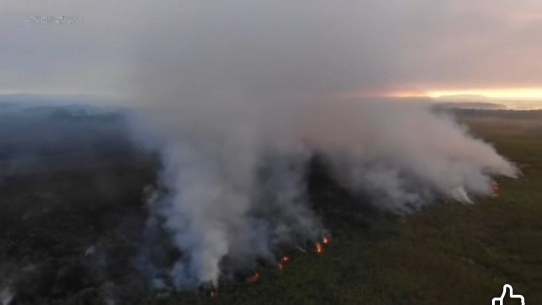 Captain Picard 🇺🇲🇵🇷 (Luis A. Vaillant Correa™) tweet media