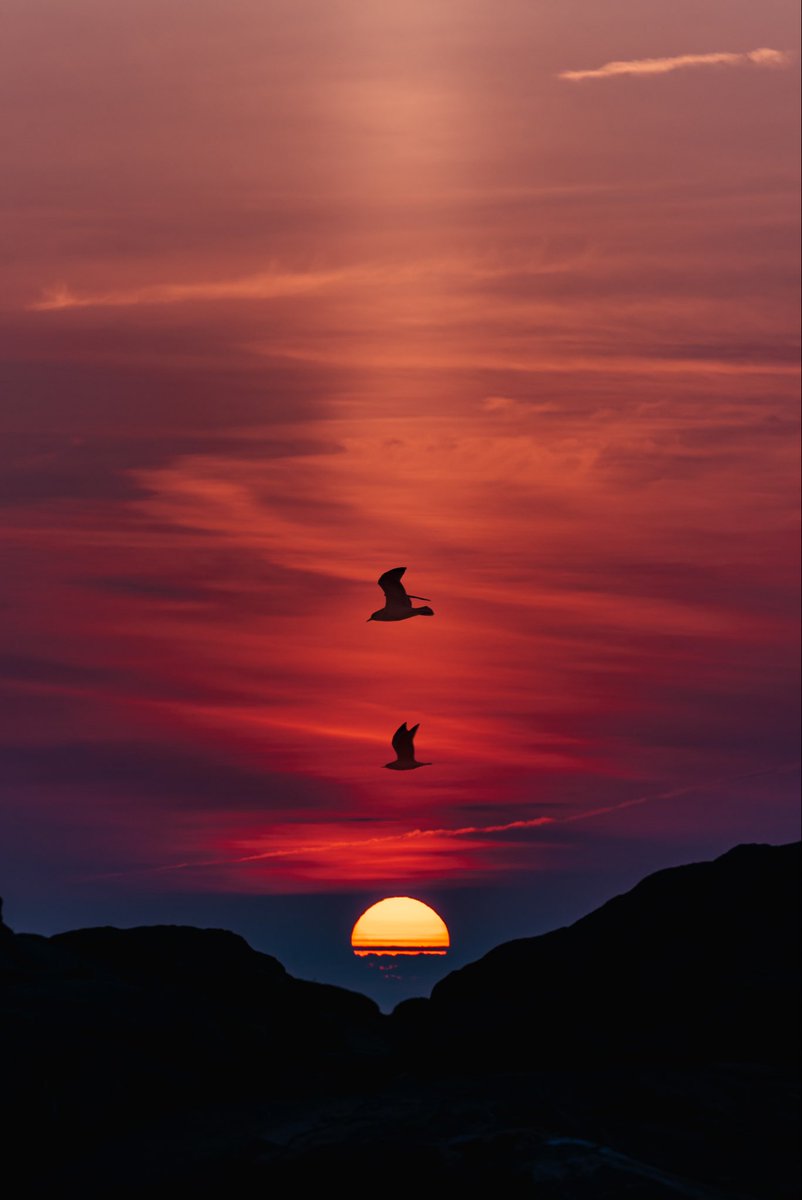 Steph Rap tweet media