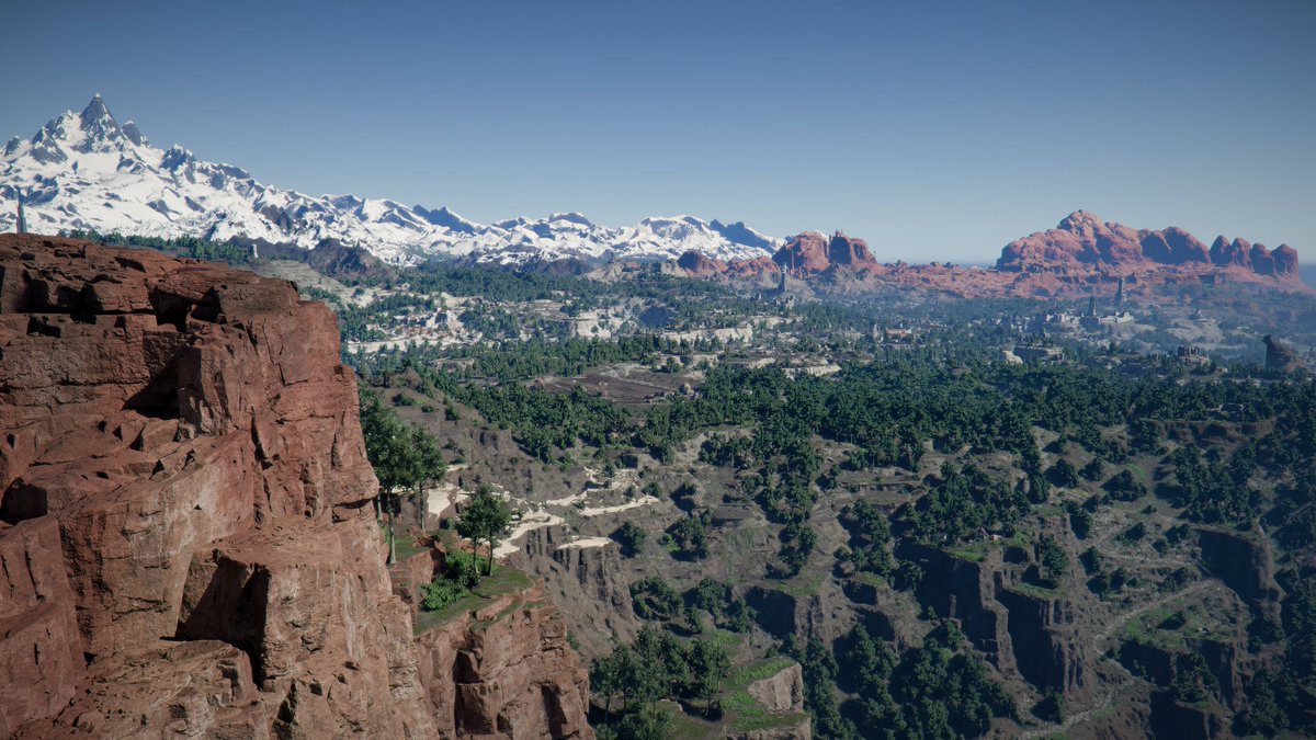 NauerNvr tweet media