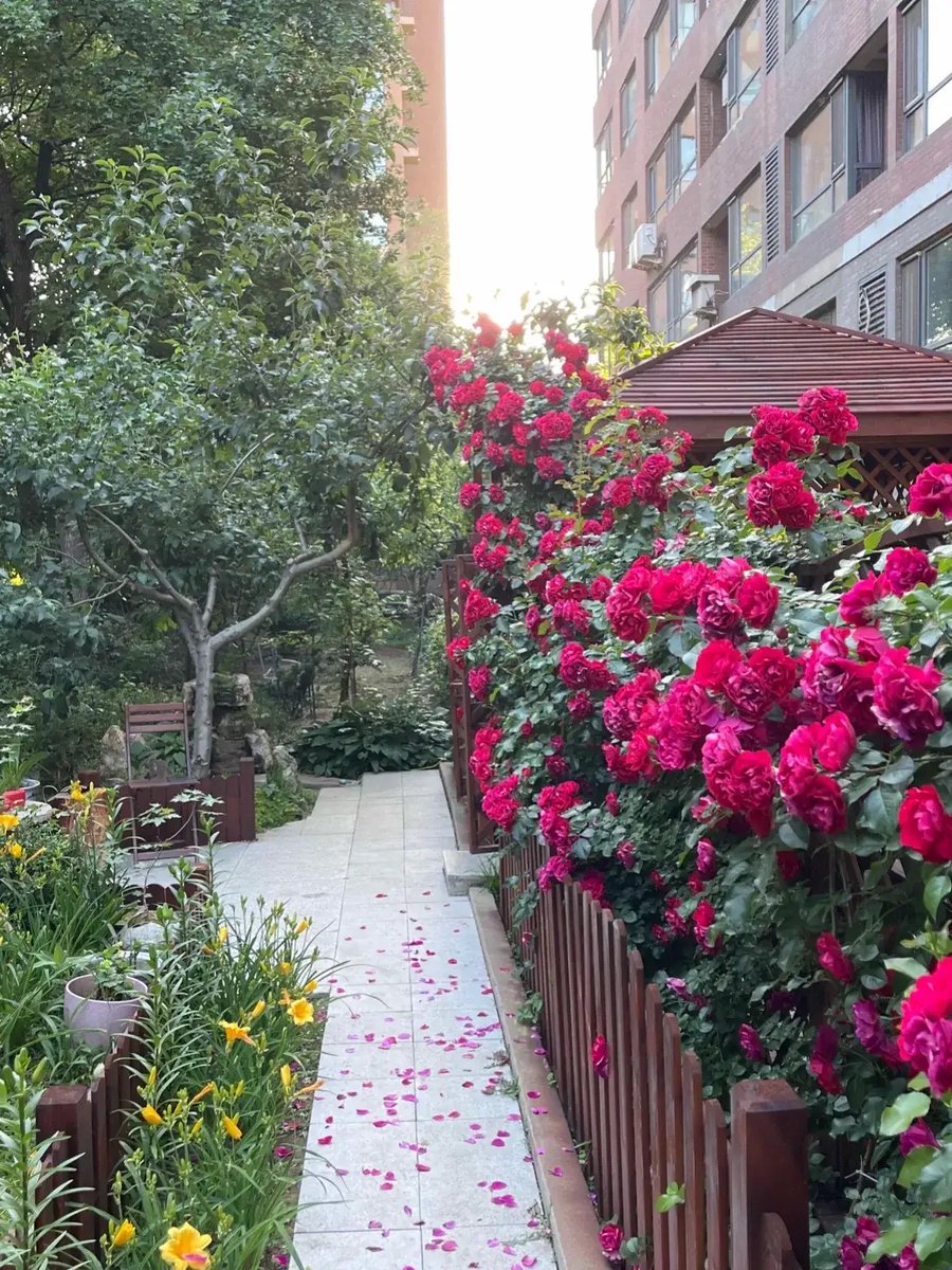 Stephen Jones tweet media