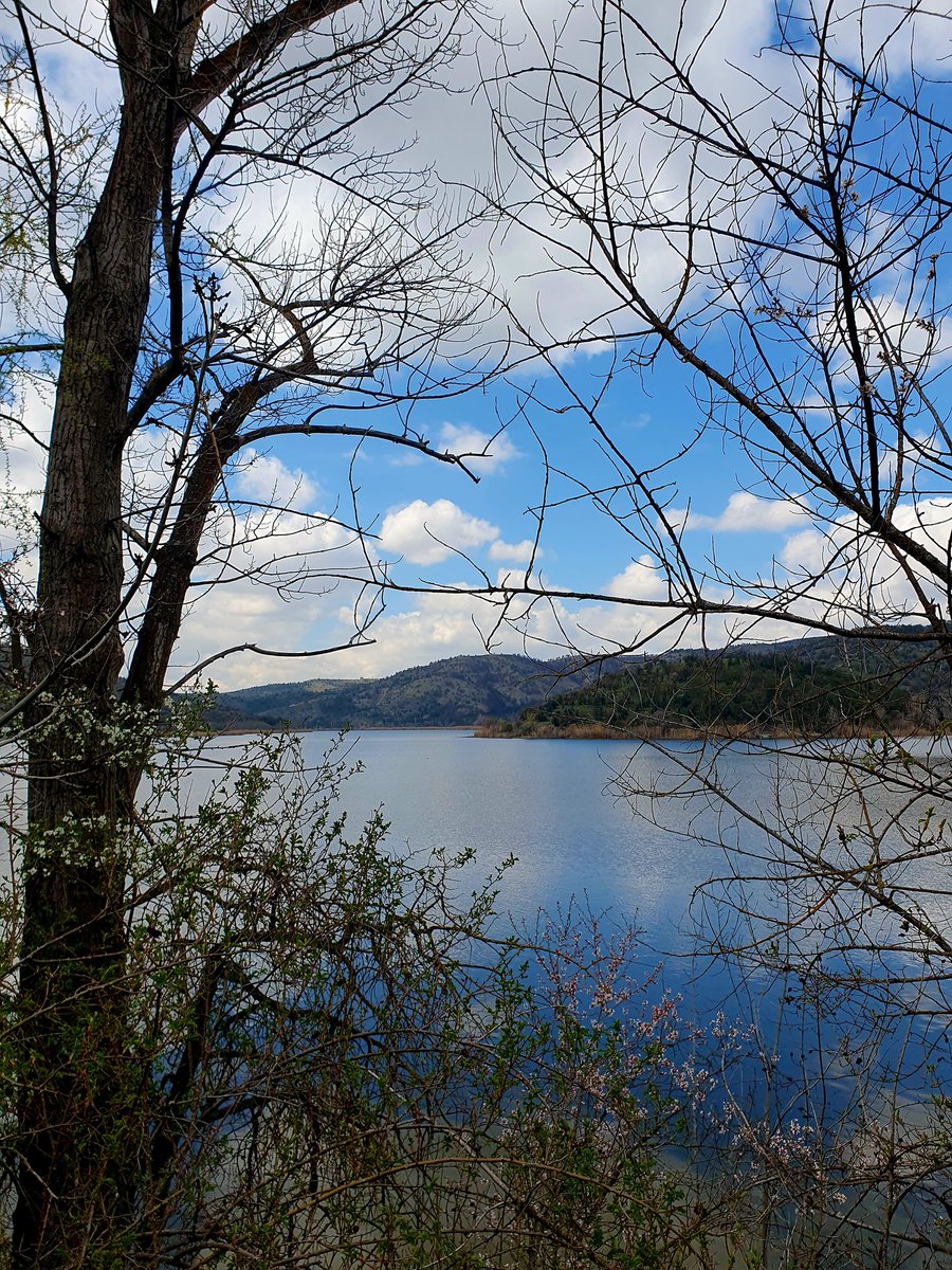 Tufan Göbekçin tweet media