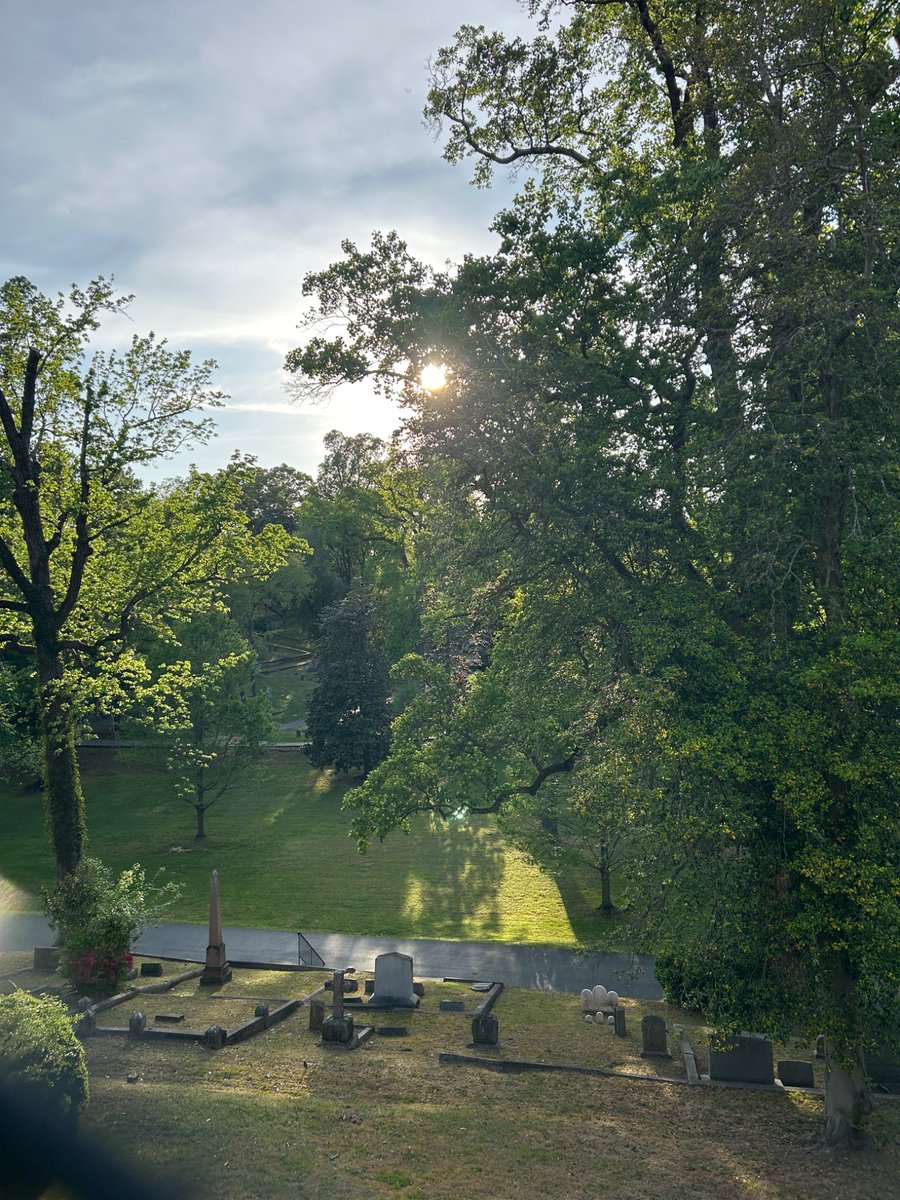 trout Fish tweet media