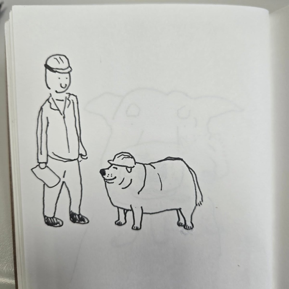 acervo doguinhos tweet media