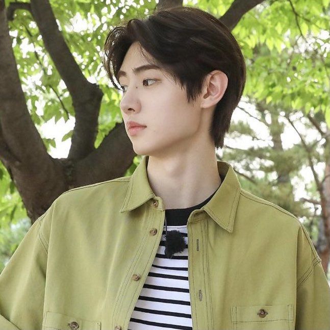 acervo sungwon🐈🐧 tweet media
