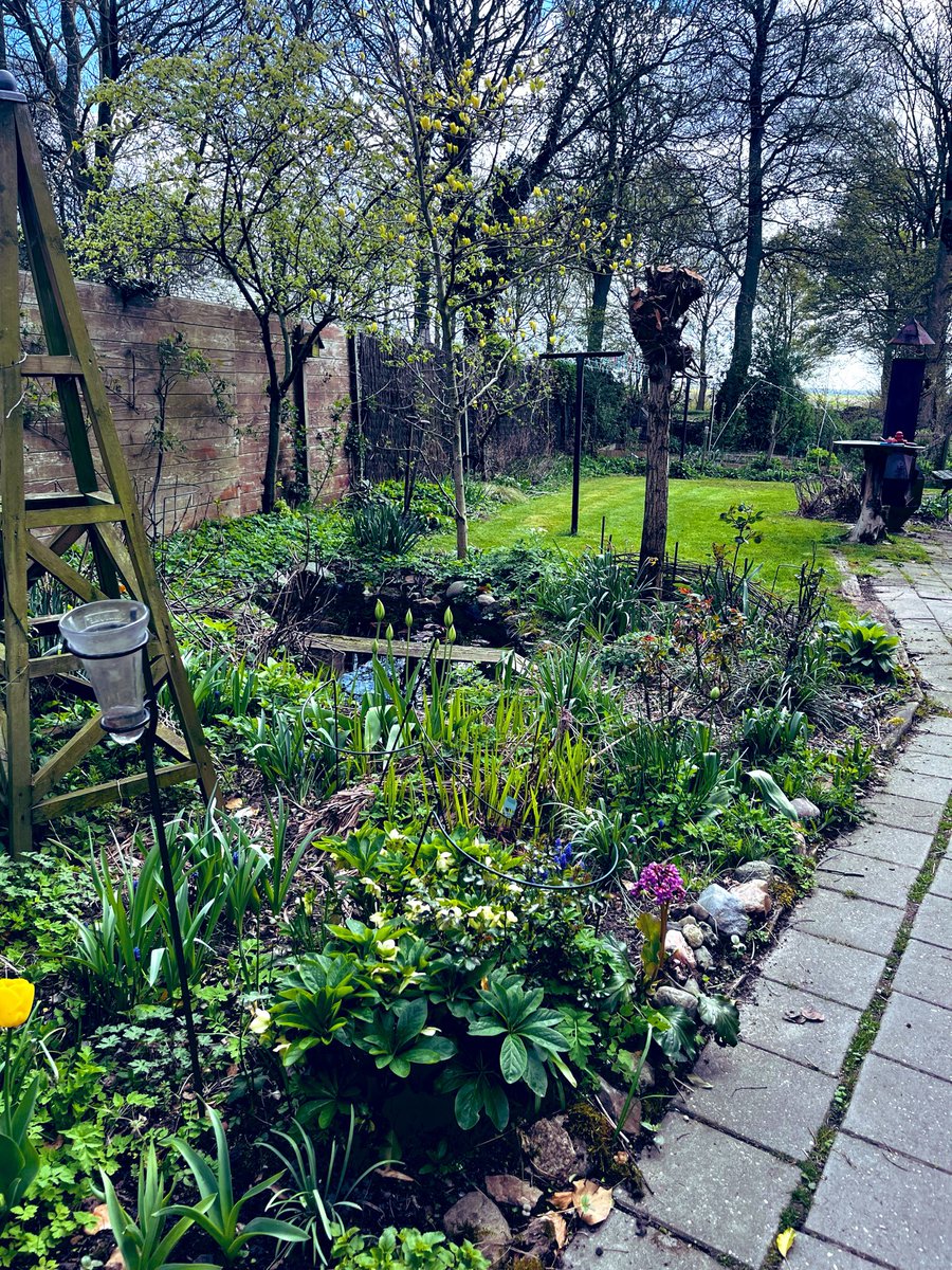 🌱 M 🐝 🌈 tweet media