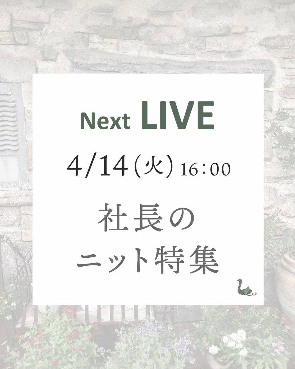 さぁ！今日は責めますよ

今回のLIVE、かなり偏ってます
素材で言うと
社長の好み　ニット100％

完全に“社長のニット”です

でも

この偏りこそが深さになる

だからこそ刺さる

ニットの本当の面白さ

素材の違い、質感の奥行き

その全部を感じてもらいたい

“社長のニット”とは何か

それは