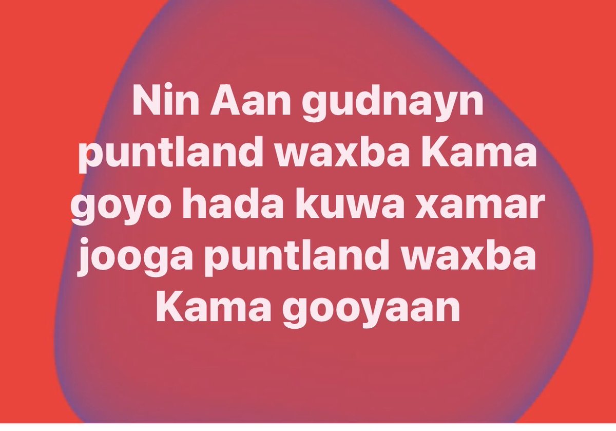 safiir ahmed tweet media