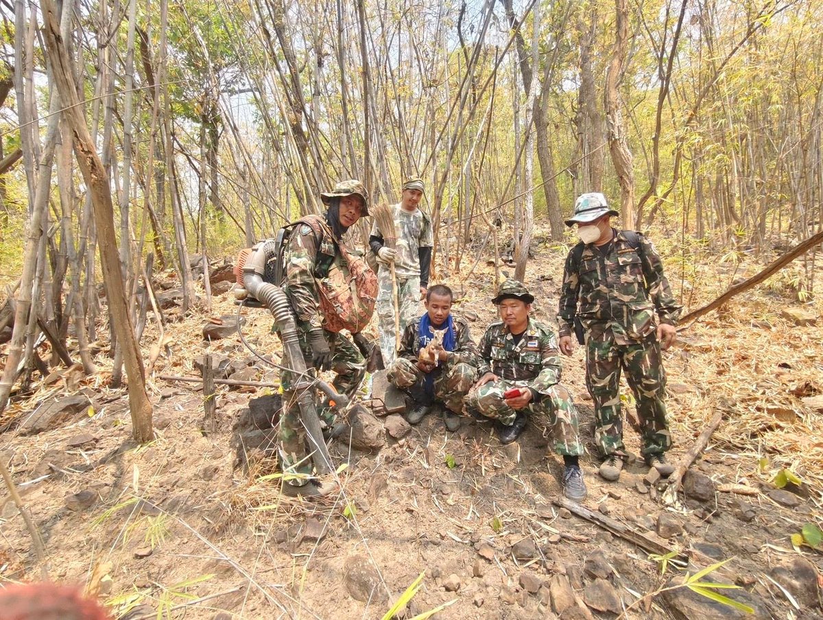 กรมอุทยานแห่งชาติ สัตว์ป่า และพันธุ์พืช tweet media
