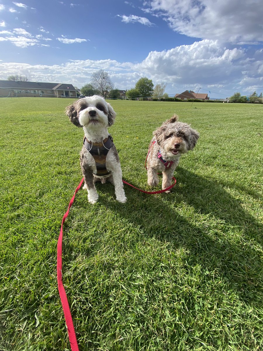 BeMoreBob tweet media