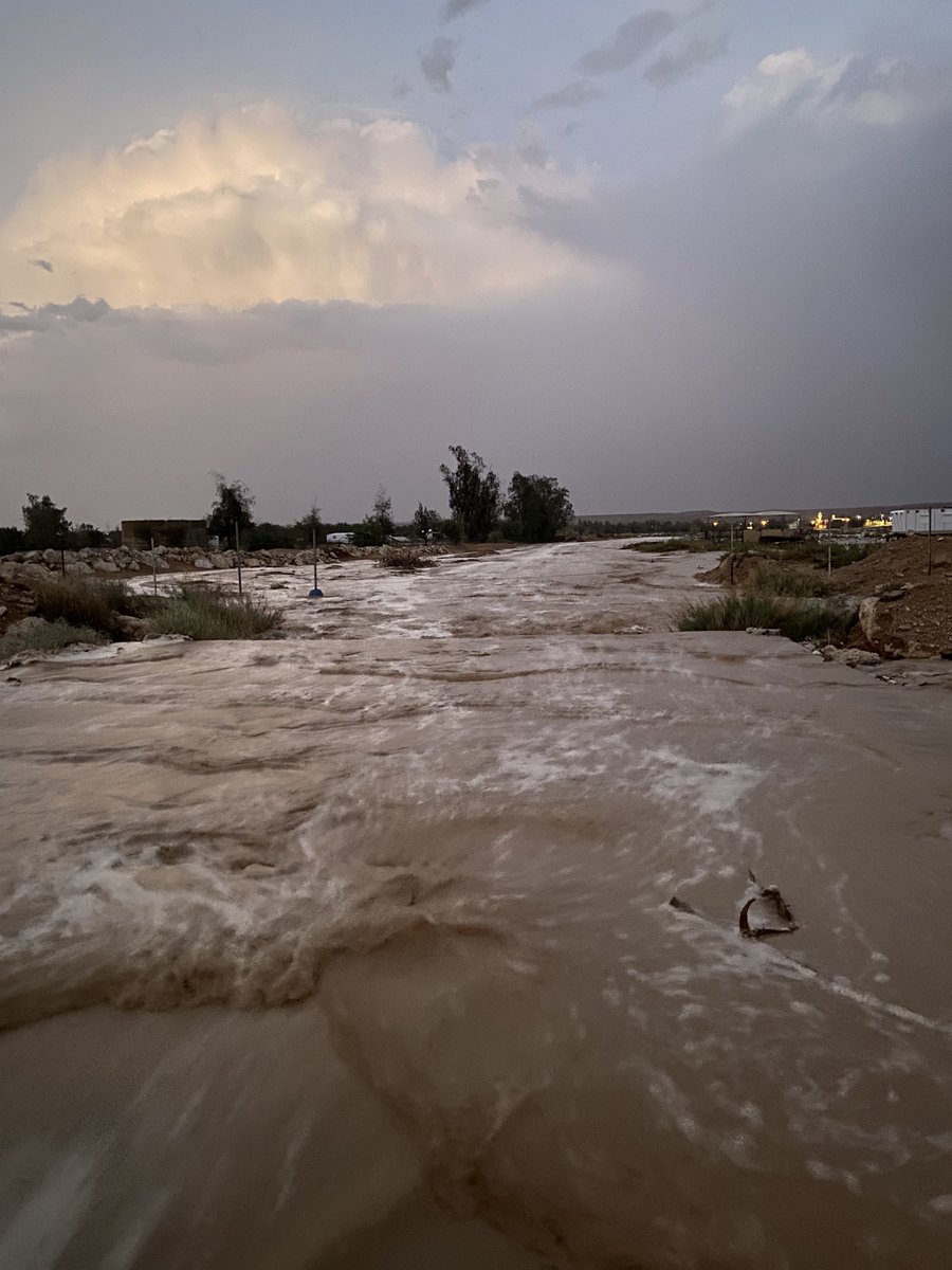 ابوعبدالله الفيصل 70 tweet media