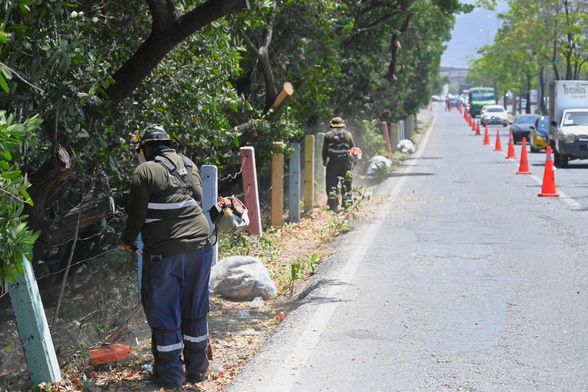 Puerto Manzanillo tweet media