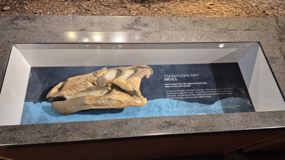 The Amber Mine tweet media