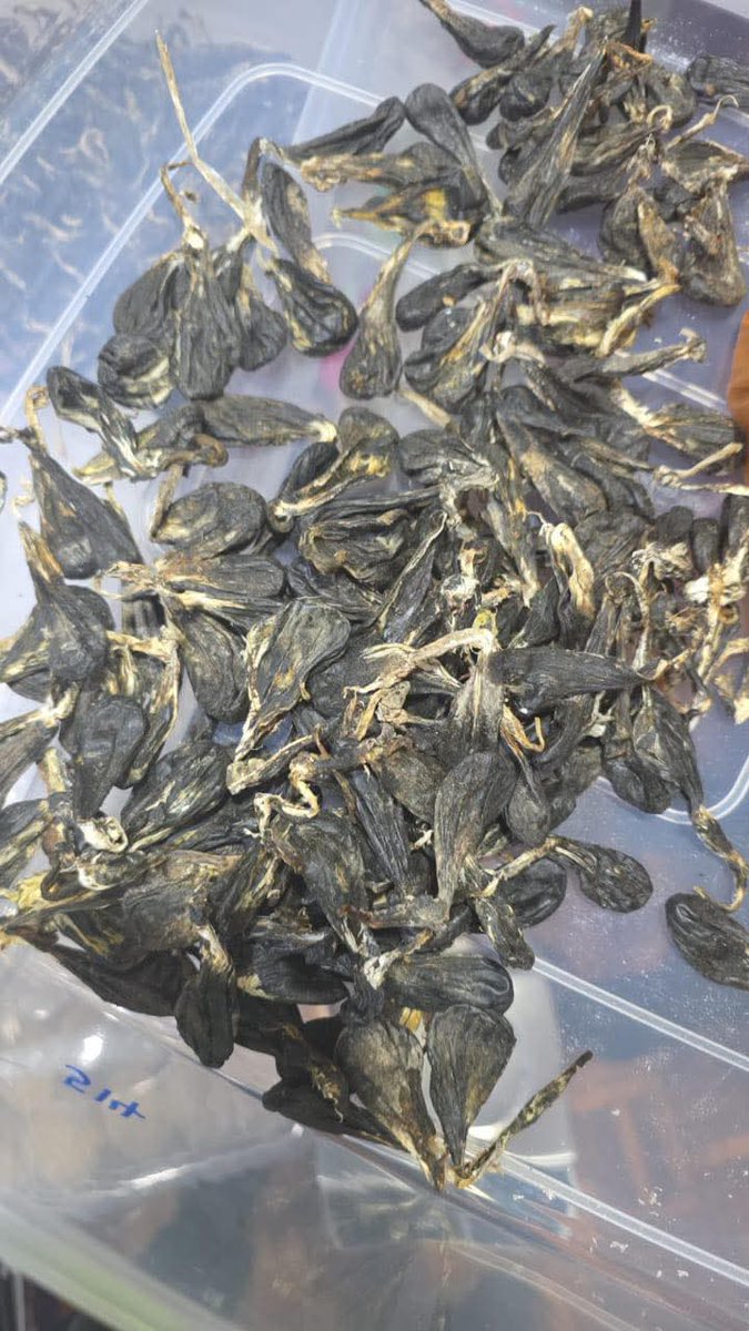 MYNEWSHUB tweet media