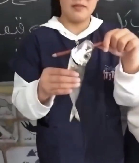 Nami Careca tweet media