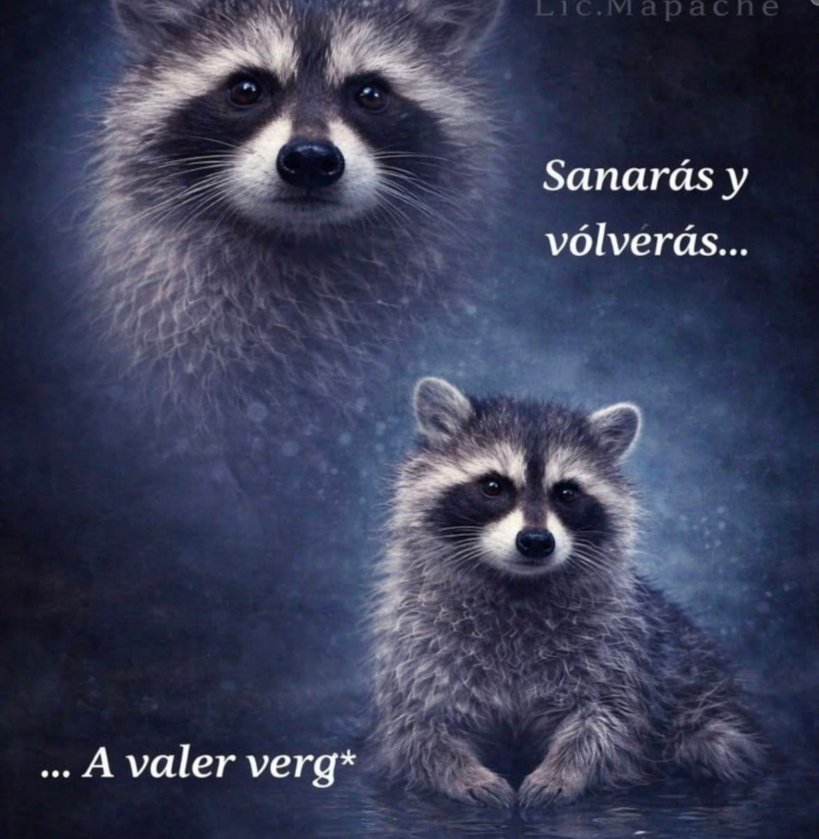 Profe_Chido tweet media