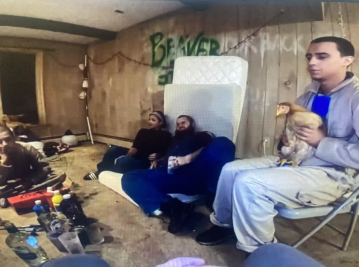 𝒇𝒍𝒐𝒘𝒃𝒐𝒕 tweet media