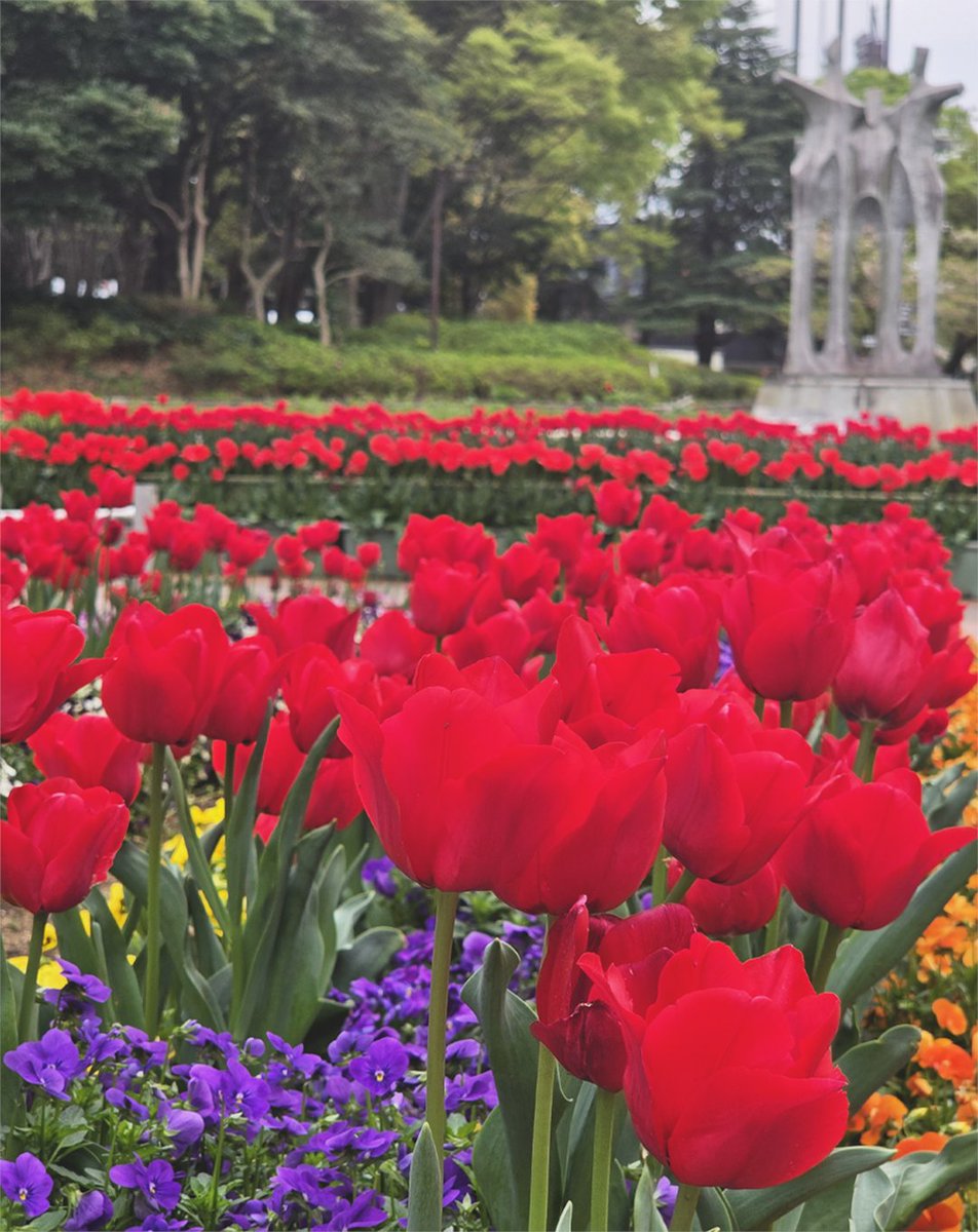 Snapdragon_JPN's tweet image. スナドラ搭載端末をつかって
#ShotOnSnapdragon に参加しよう🌷！
4月のテーマは #RepYourRed

参加者の中から抽選でスナドラグッズがもらえるチャンスです🎁
あなたのお気に入りのショットをシェアしてください📸
▶️締め切りは4月30日まで