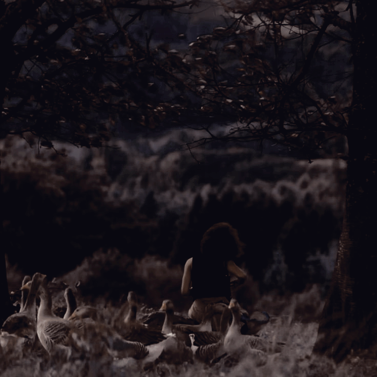 ‍ ‍ ‍ ‍ ‍ ‍ ‍ ‍ ‍ ‍ ‍ ‍ ‍ ‍ 𝑻𝑯𝒀 ‍𝑳𝑶𝑽𝑬 .ᐟ tweet media