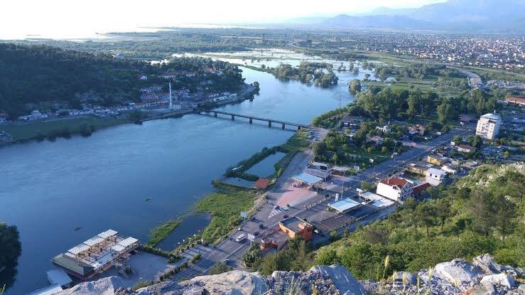 Ali Can Erten tweet media