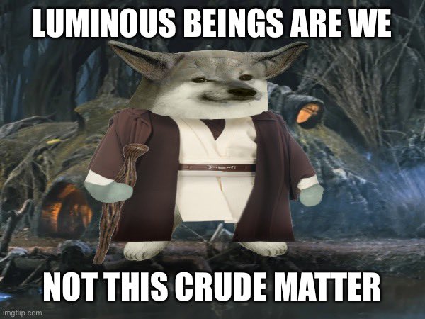 Freeheeler-Fella tweet media