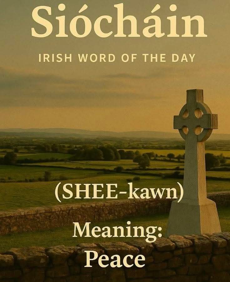 ThisIsIreland3's tweet image. 🇮🇪 Irish Word of the Day 🇮🇪

Come learn some Irish with me!
A few words every day is the easiest way to start understanding the Irish language, even if you’ve never spoken a word before ☘️

Save this post so you can come back to it later 🇮🇪

📸 The Irish Gem

#Irish #Ireland
