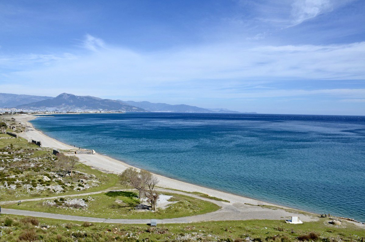 Yusuf Yavuz tweet media