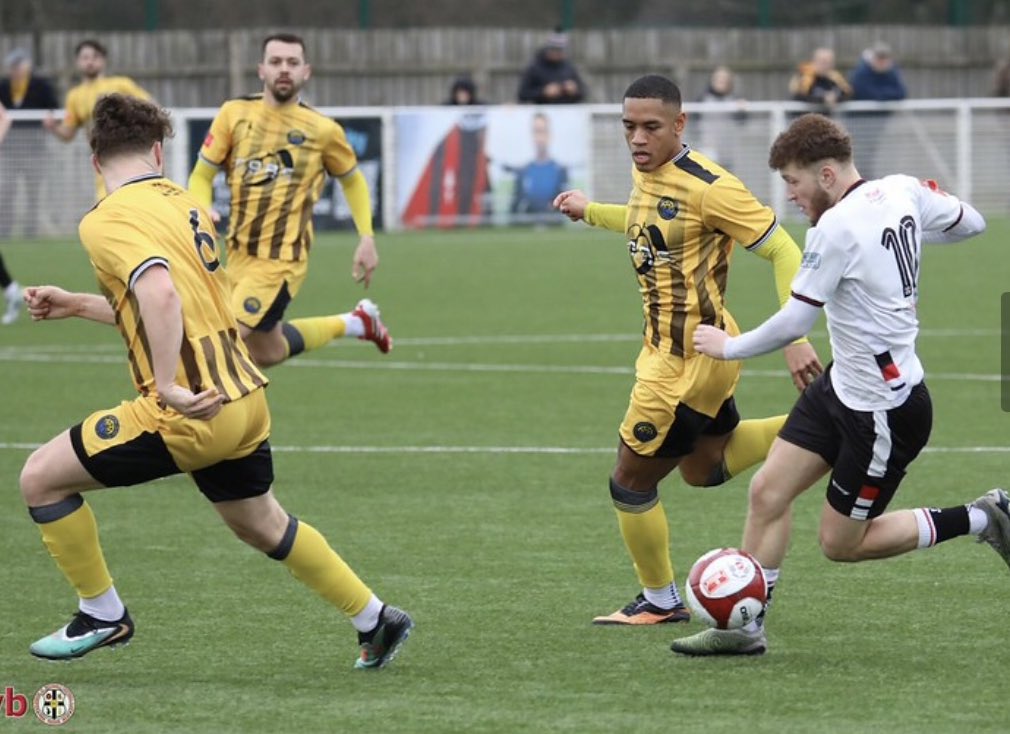 Harry Crook tweet media