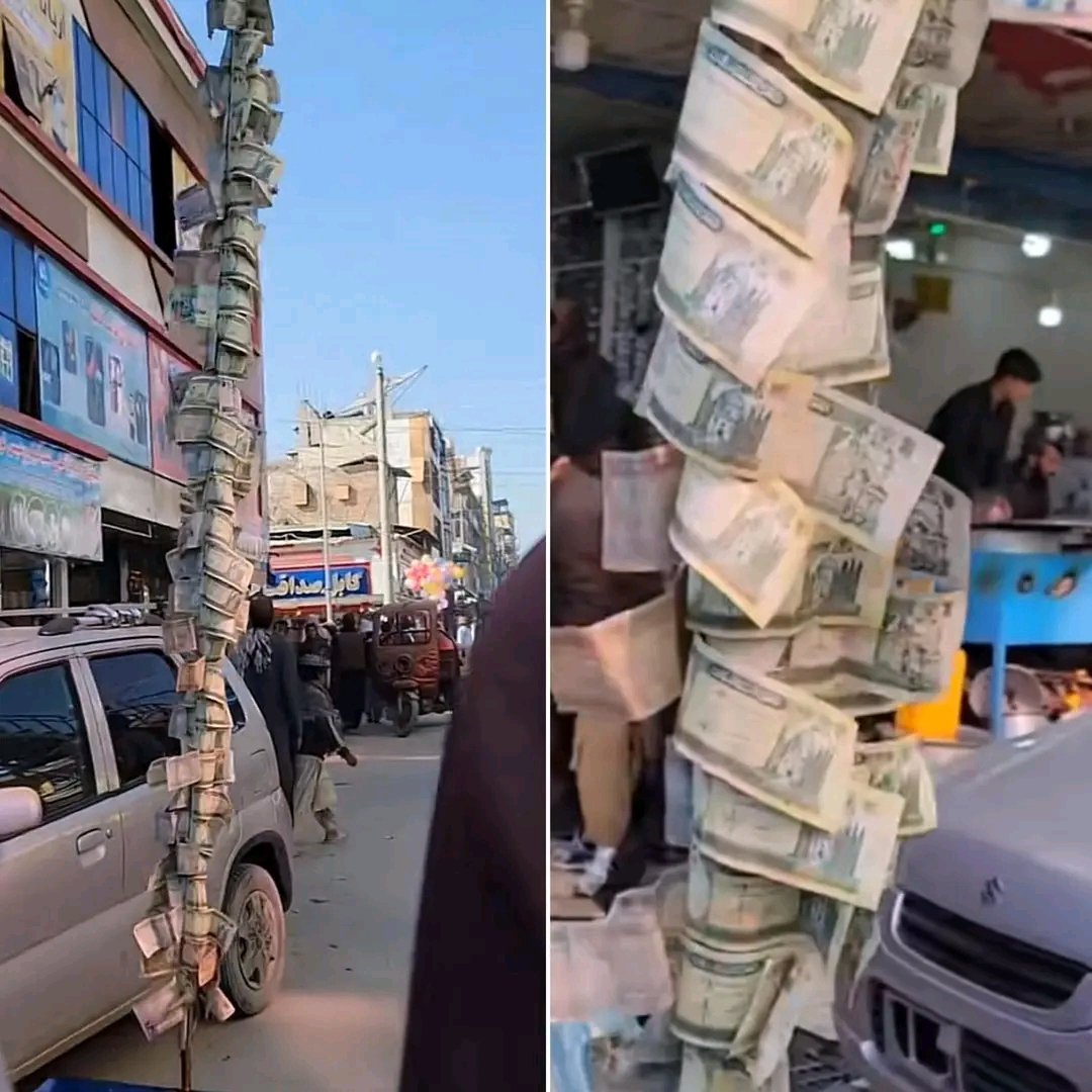 مطیع الله وردګ tweet media