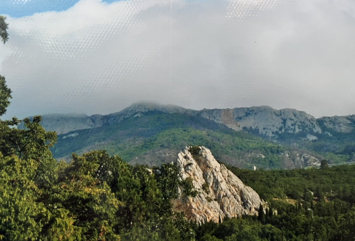 dead_pionerr0 tweet media