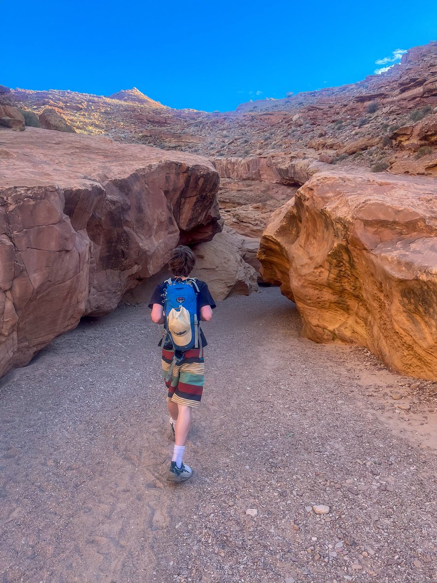 Nicholas tweet media