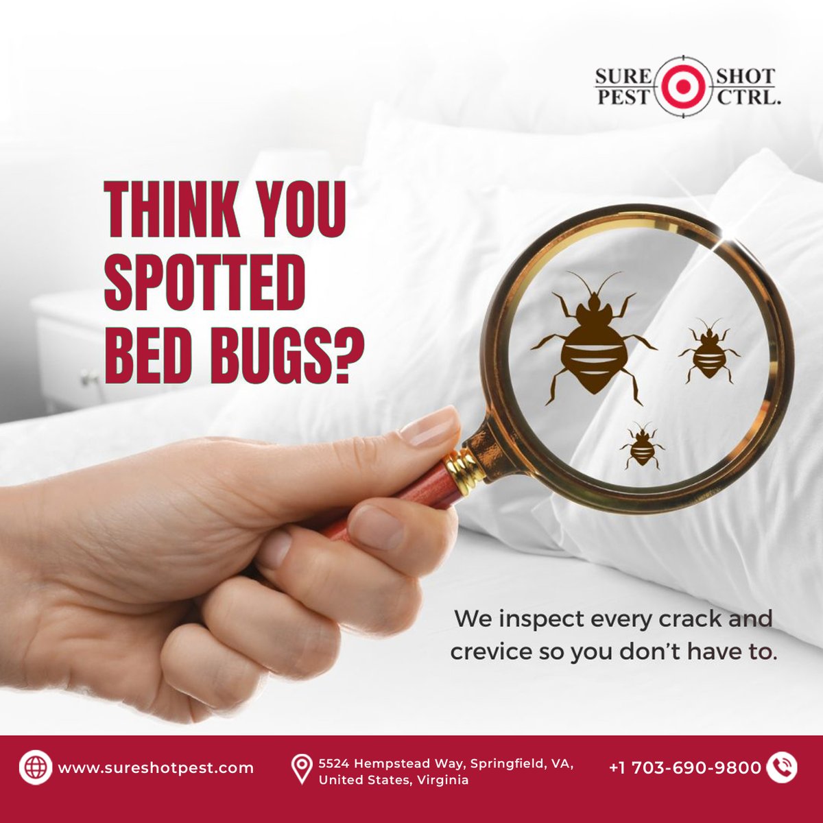 sure_shotpest's tweet image. Spotted Bed Bugs?

Think you spotted bed bugs? We’ll inspect every crack and crevice and take care of the problem. 

𝐁𝐨𝐨𝐤 𝐲𝐨𝐮𝐫 𝐬𝐞𝐫𝐯𝐢𝐜𝐞 𝐭𝐨𝐝𝐚𝐲 𝐚𝐭 sureshotpest.com

#BedBugs #BedBugInspection #BedBugTreatment #PestControl #SpringfieldVA