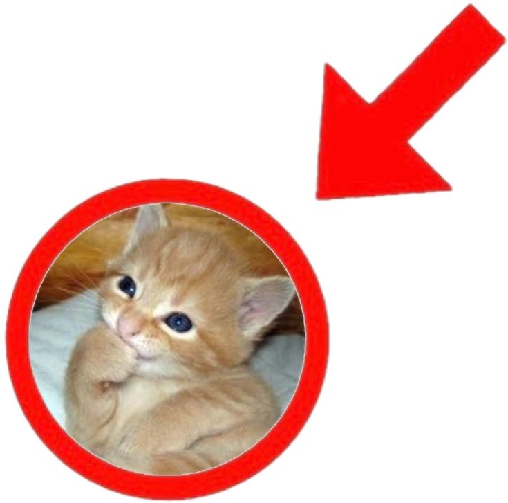 Miyúe， tweet media