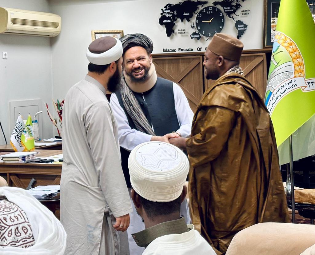 M Haqmal / محمدحقمل tweet media