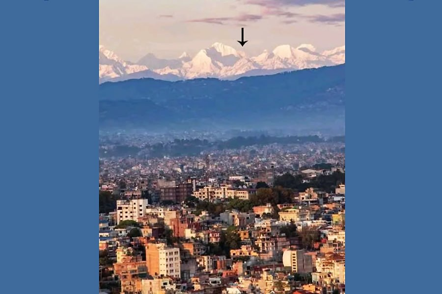 Заблудший Овц tweet media