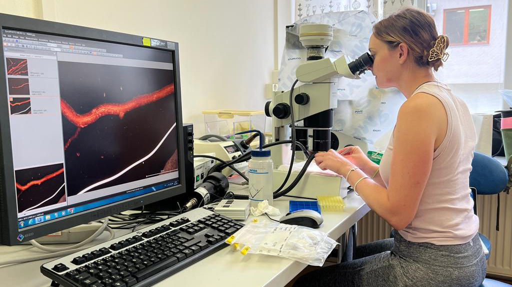 The Local Voice tweet media