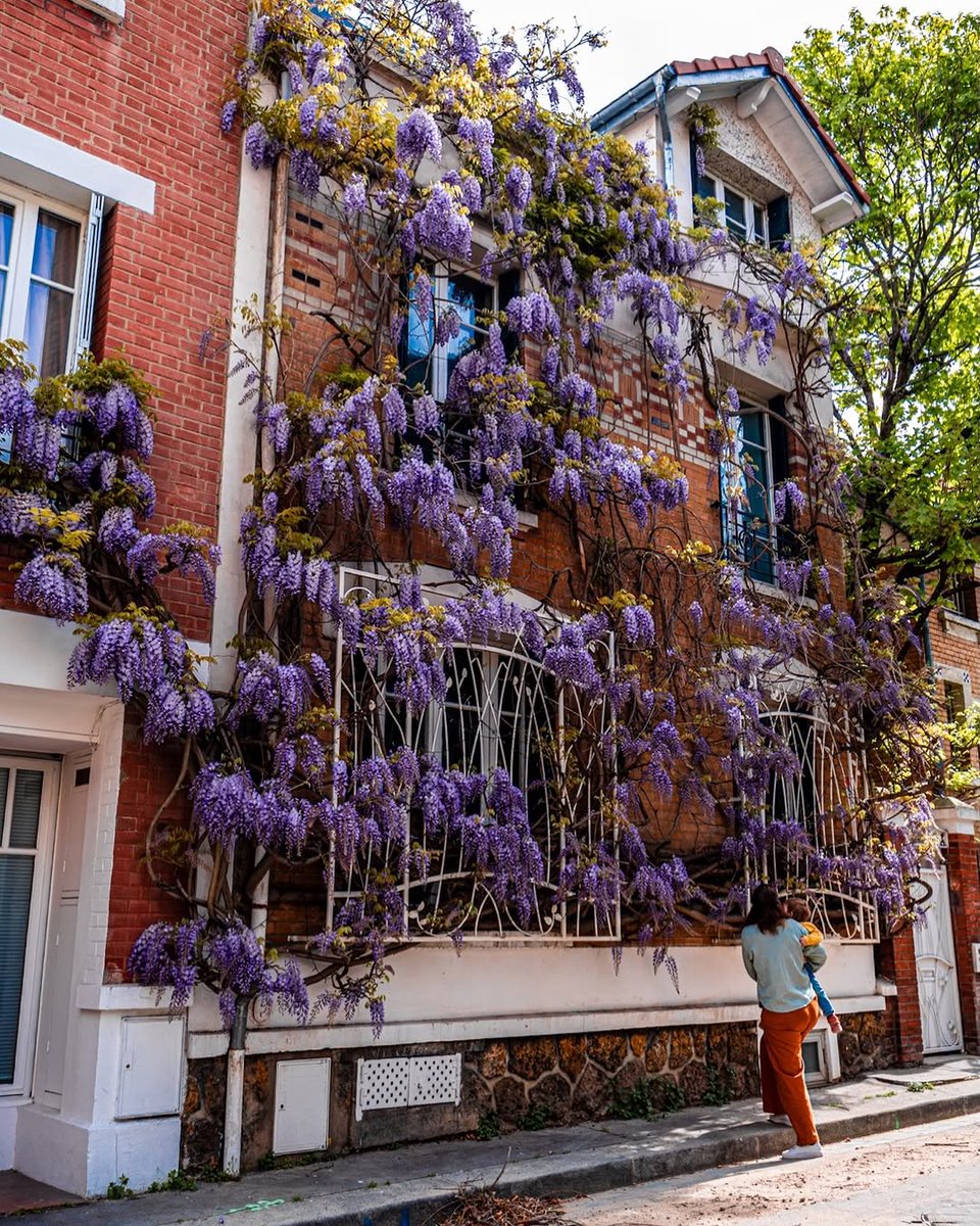 Nature Feels Only tweet media