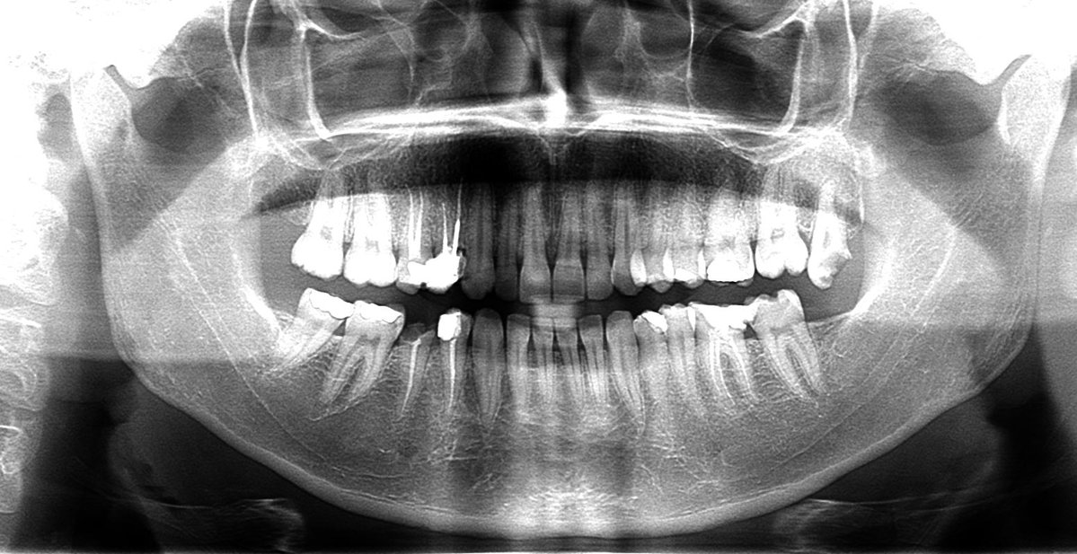 Jihad in gaza 🇵🇸 tweet media