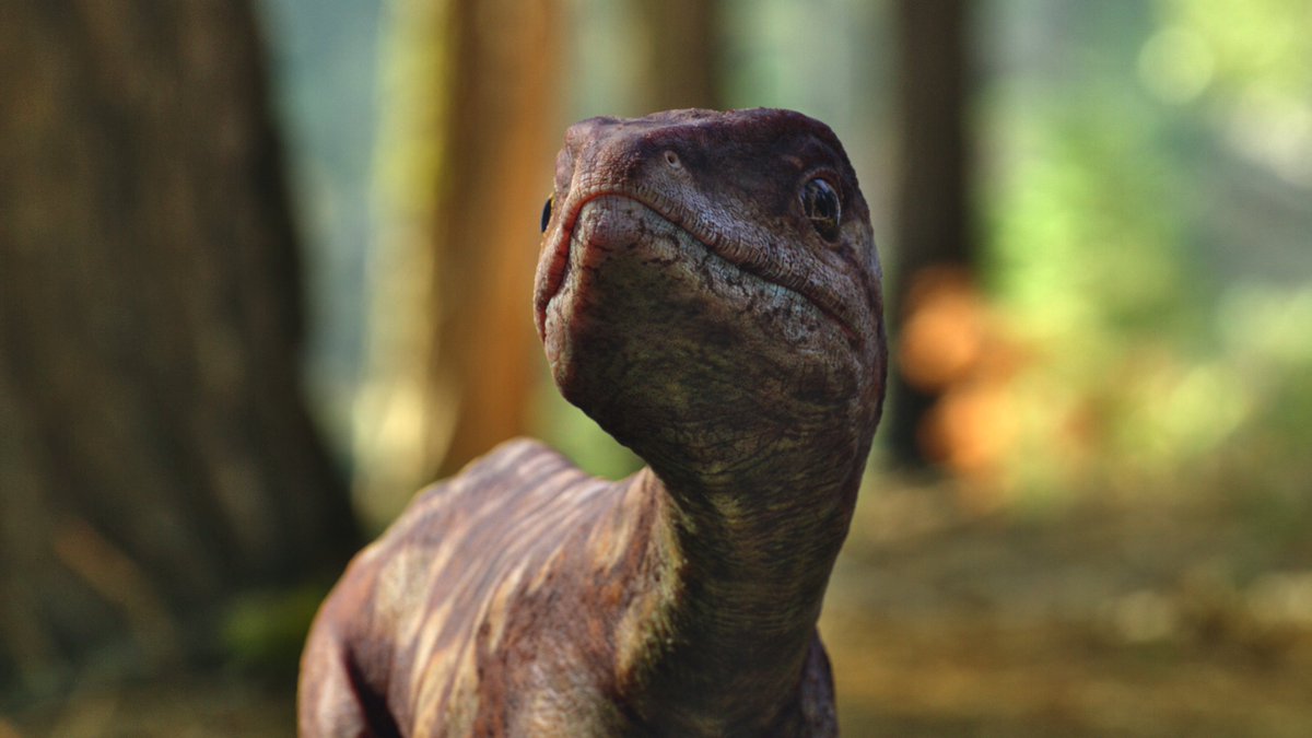 raftingzalmoxes's tweet image. #LifeOnOurPlanet #TheDinosaurs
Plateosaurus hatchling mood.