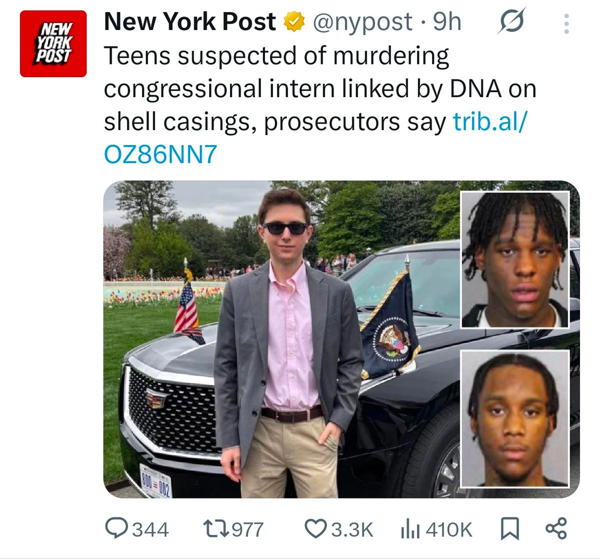 Mr. Reply Guy tweet media