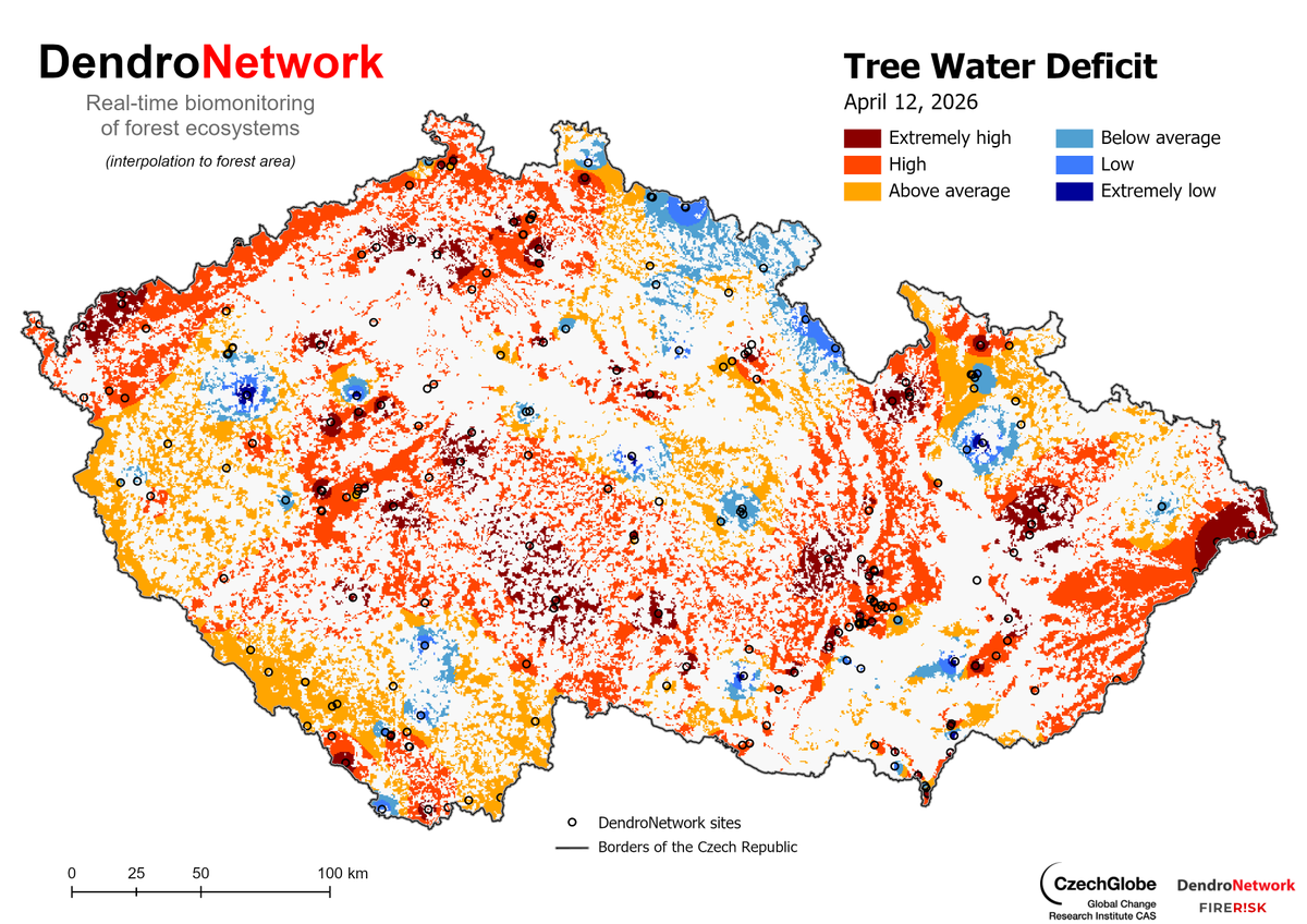 czechglobe_xylo's tweet photo. #DendroNetwork shows trees across Czechia are starting to form new tree rings🌱but already under stress. ~90% of the country faces water deficit, with <10% unaffected. With little rain ahead, conditions may worsen, delaying growth & impacting vitality
➡️➡️https://t.co/TRHdxW1Imn https://t.co/YOafNyCym1