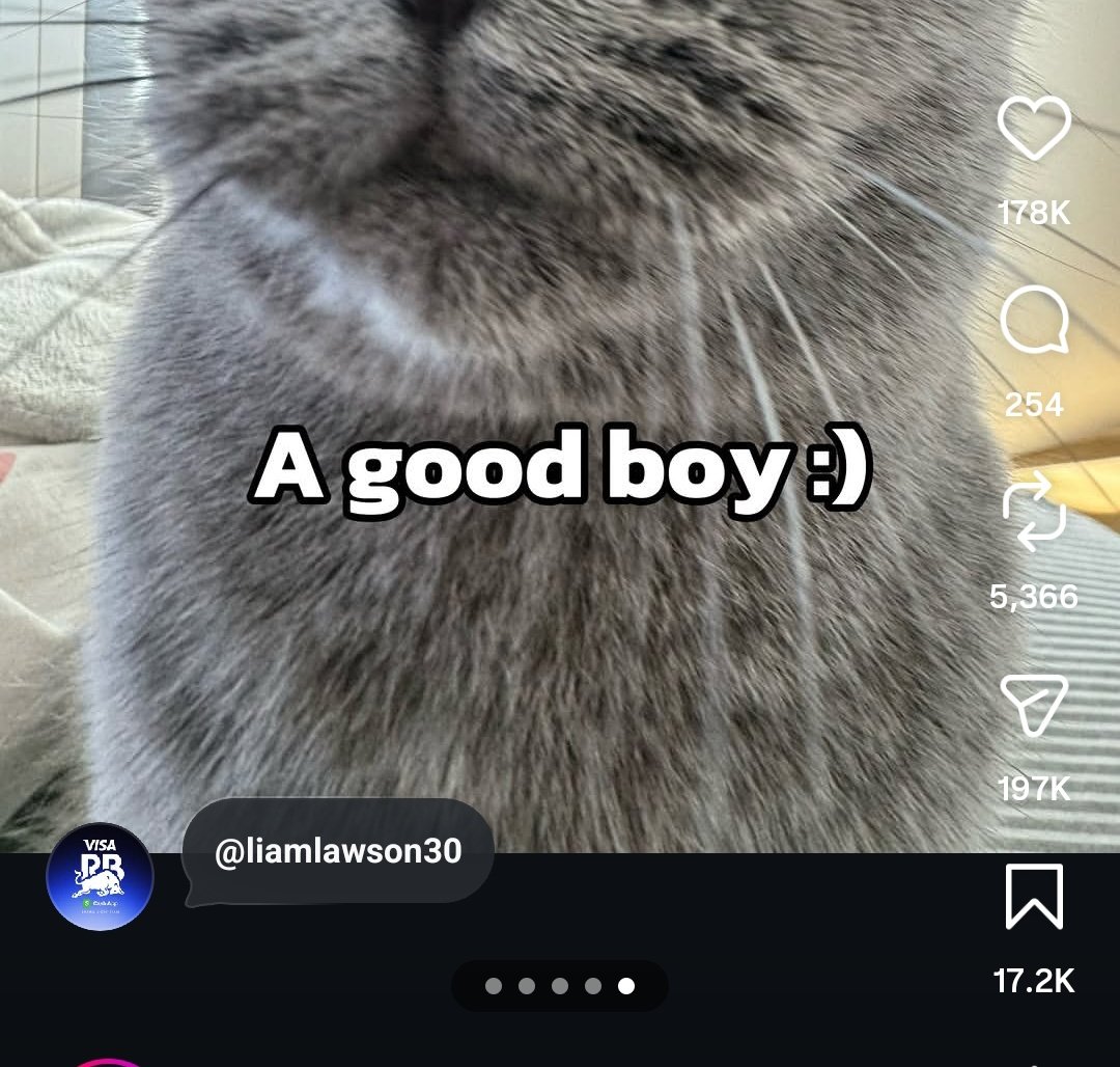 HEP WHAT 😭😭😭😭 <a href="/visacashapprb/">Visa Cash App Racing Bulls F1 Team</a> admin leave him alone hes vulnerable