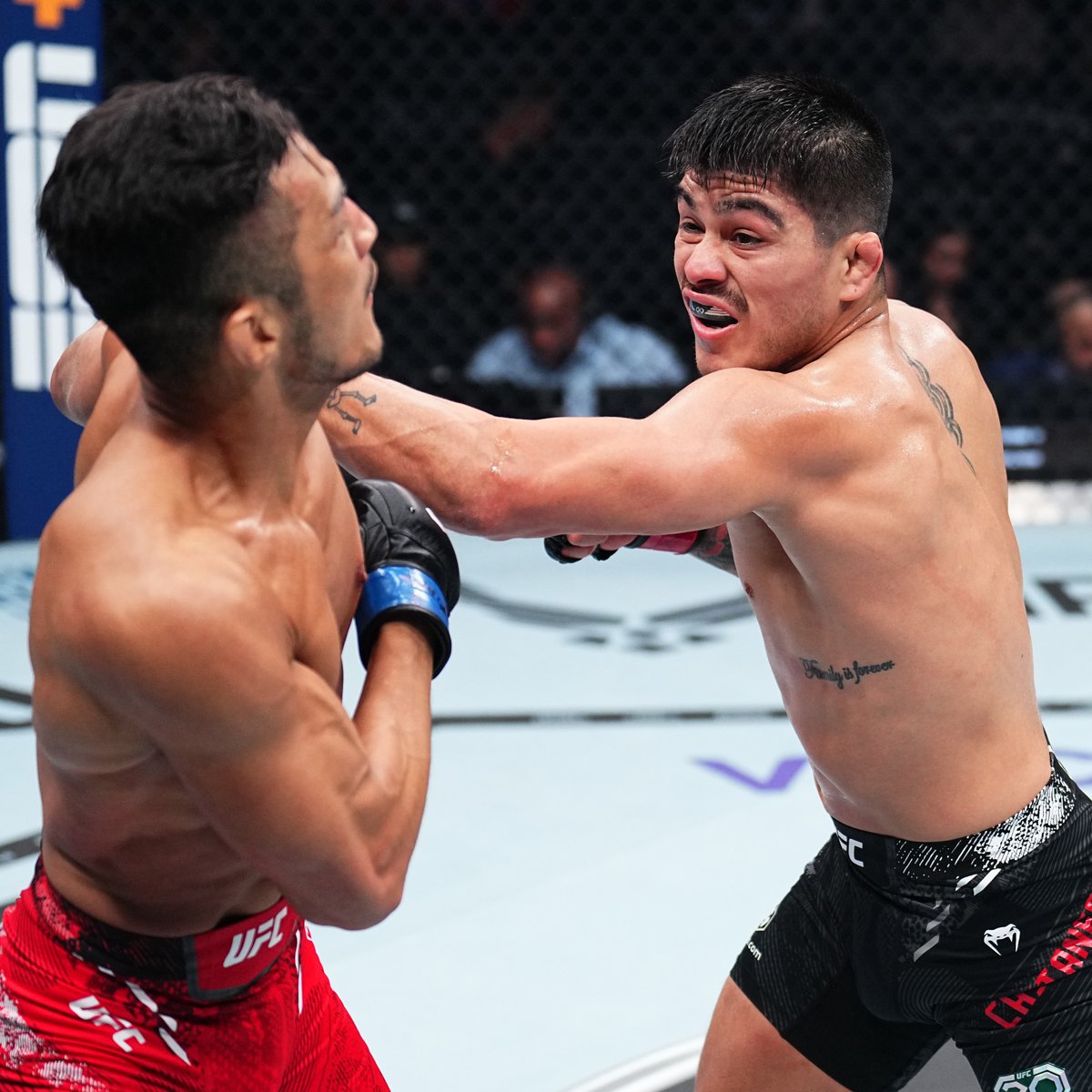 UFCEspanol's tweet photo. Tiene una misión! John Castañeda 🇲🇽

#UFCWinnipeg | Sáb. 18 de abril | Por Paramount+ https://t.co/QgYDH7feE8