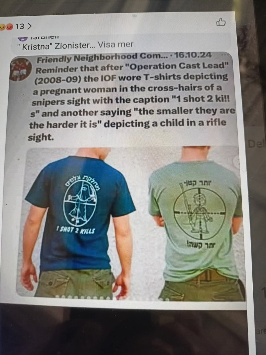 Lisa Engström🇵🇸🇸🇪 tweet media