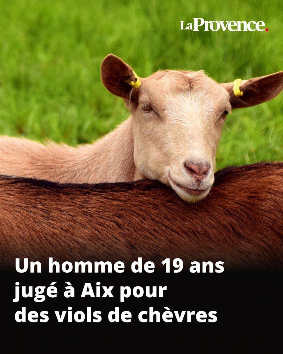 La Provence tweet media