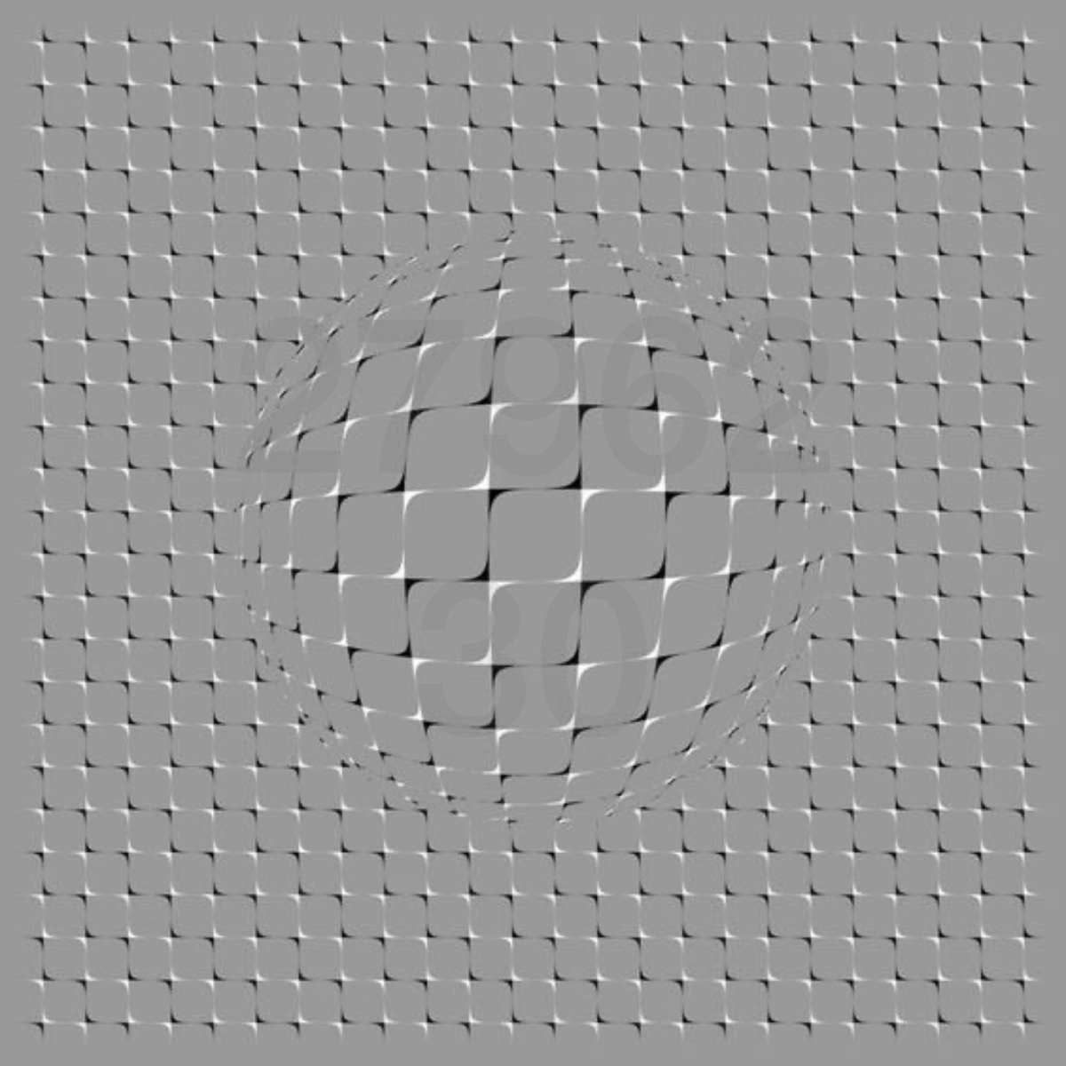 joshmedia tweet media