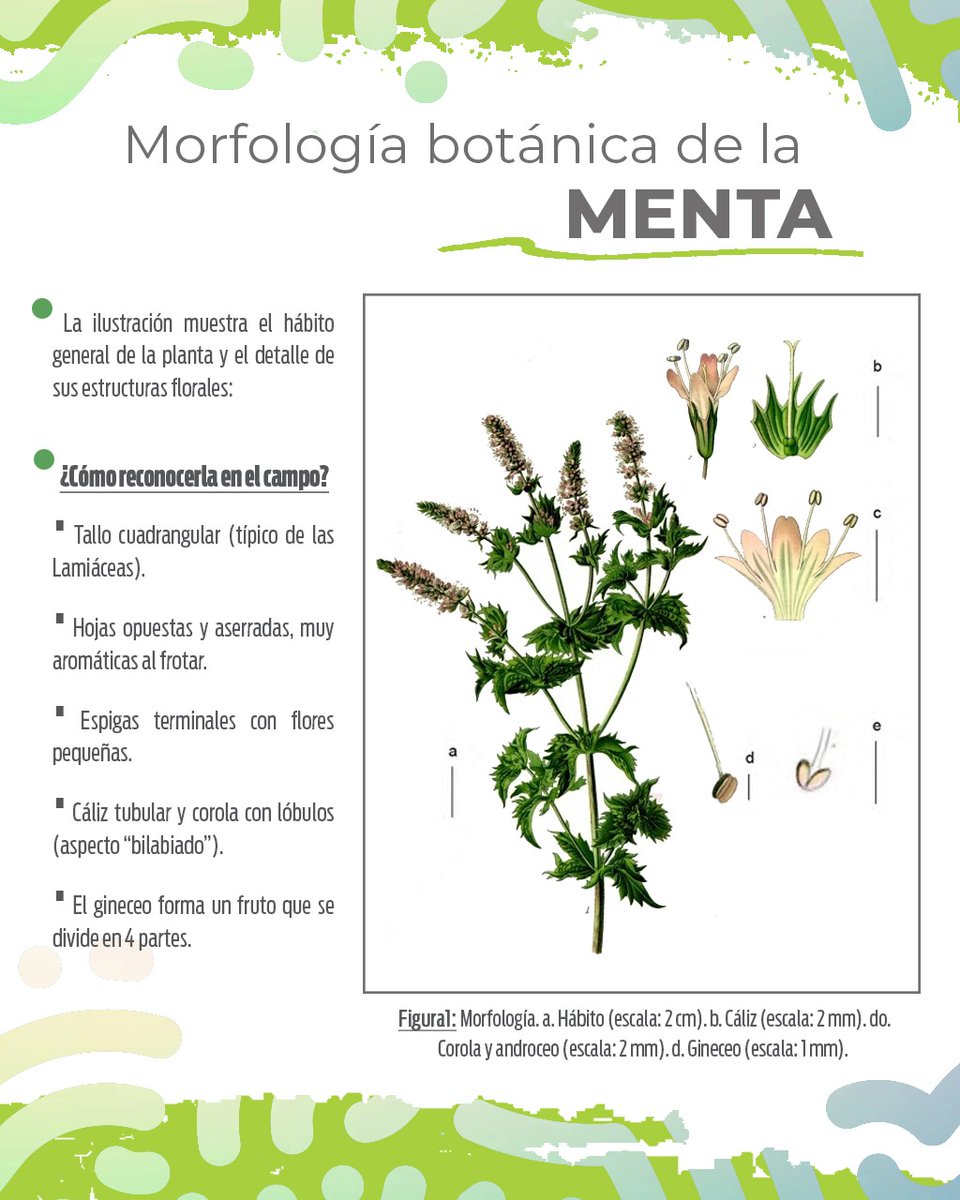 Instituto de Servicios Ambientales tweet media